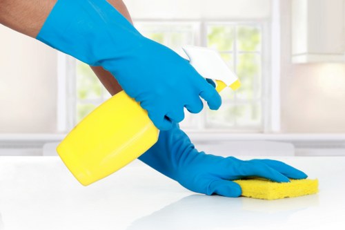 End of tenancy cleaning in SW9 with a spotless rental interior