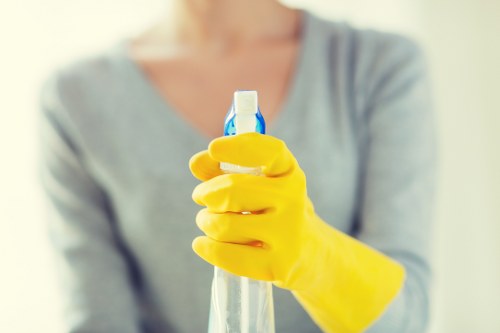 Professional carpet cleaners in SW9 cleaning a home carpet