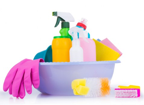 Customer raising a carpet cleaning complaint for review