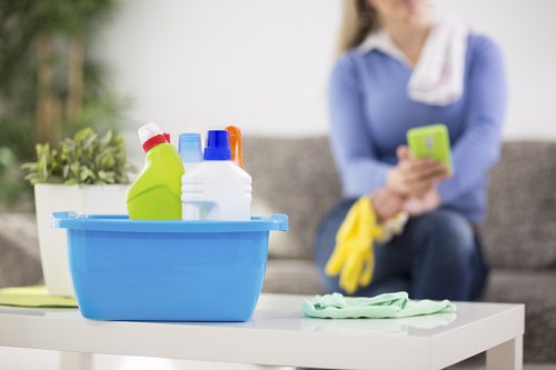Safe online payment options for Carpet Cleaners Sw9