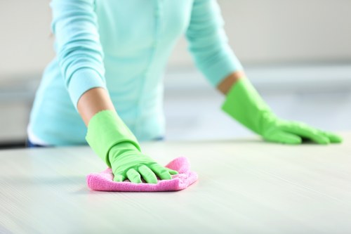 Carpet cleaning service during treatment