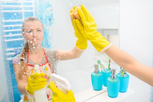 Pet-friendly sofa cleaning results in a SW9 home