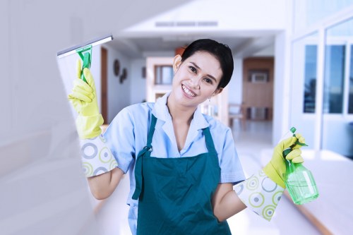Cleaner treating a carpet stain in SW9 home