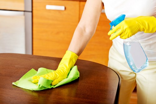 Regular home cleaning routine in SW9